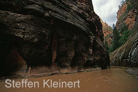 zion np - narrows 019